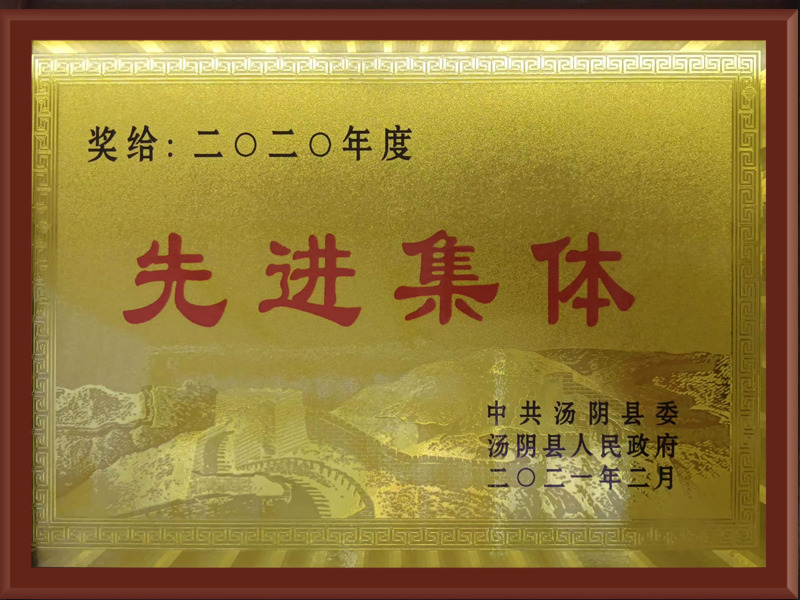汤阴2020年度先进集体