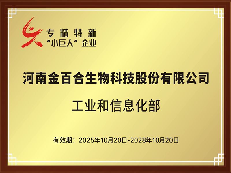 专精特新“小巨人”企业